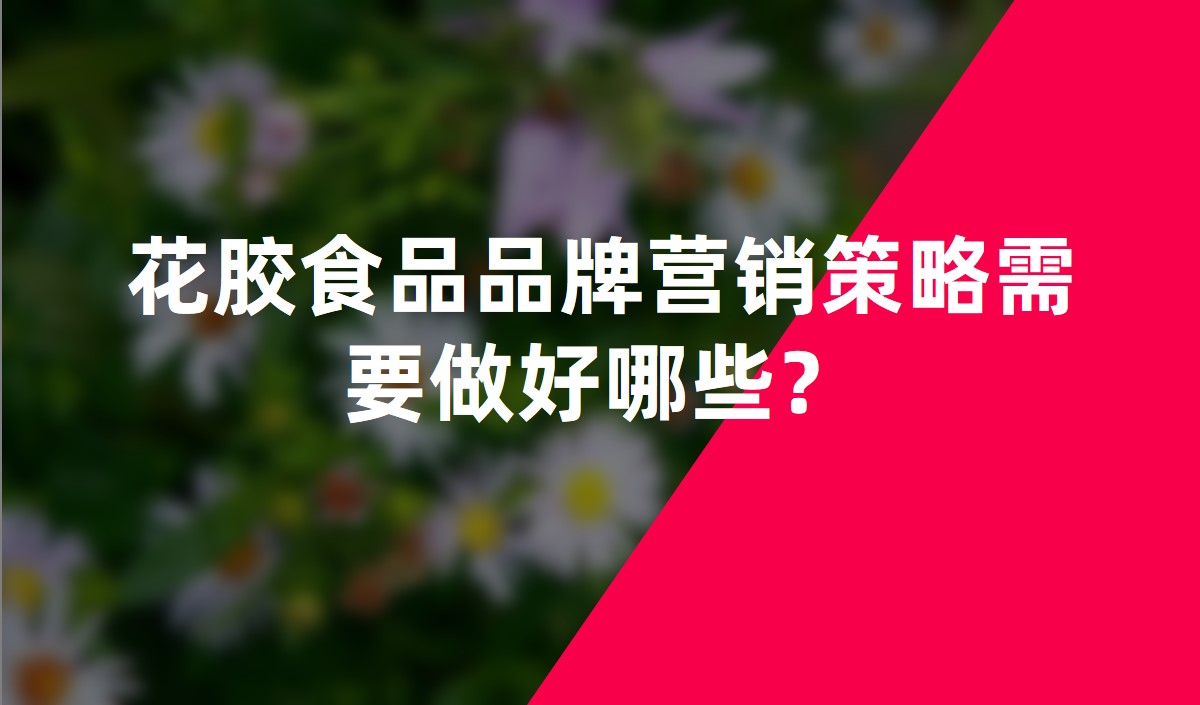 花胶食品品牌营销策略需要做好哪些？