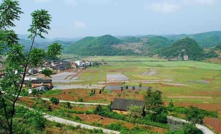 农业品牌，乡村品牌建设，乡村产业正在广袤农村蓬勃兴起