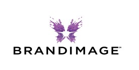 BRANDIMAGE 品牌资产设计公司