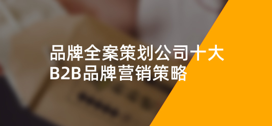 品牌全案策划公司十大B2B品牌营销策略