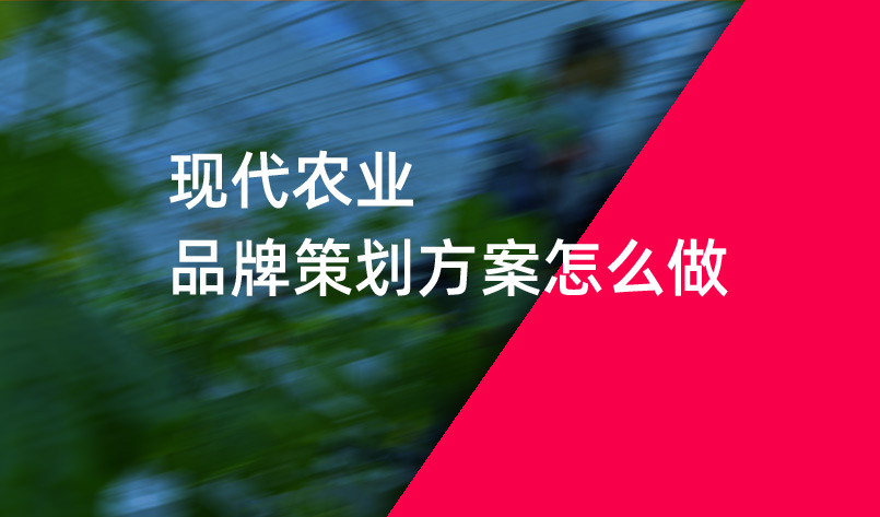 现代农业品牌策划方案怎么做