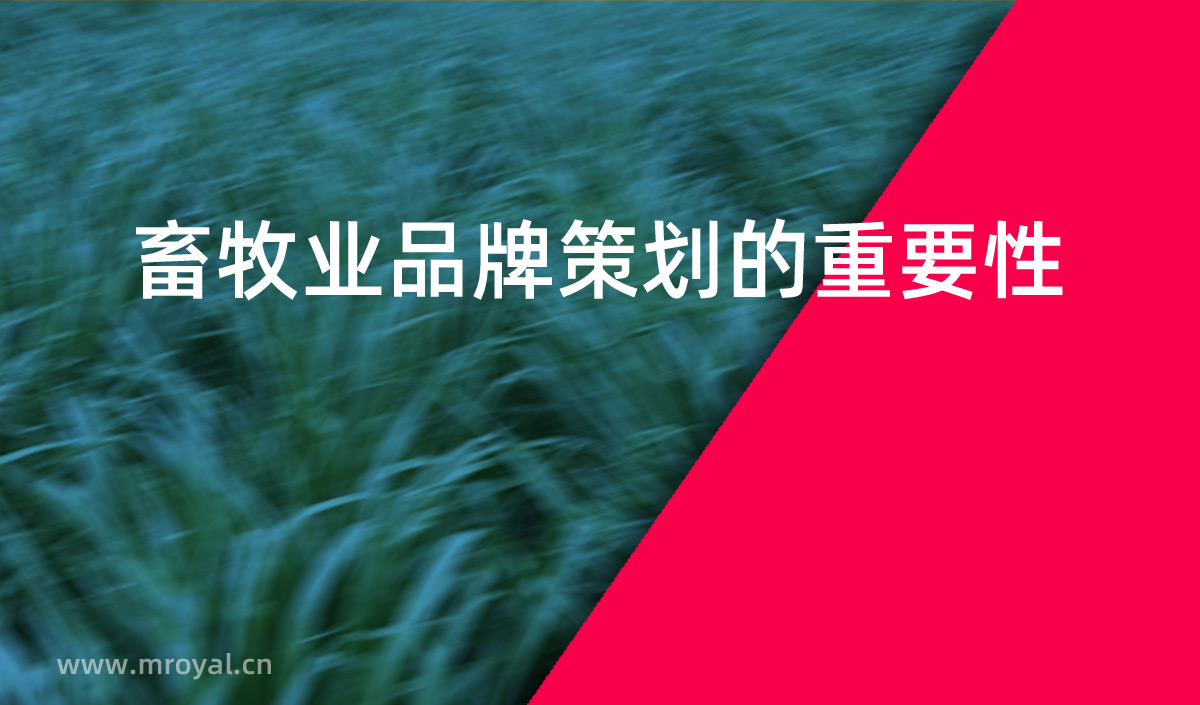 畜牧业品牌策划的重要性，畜牧业品牌化是提高市场占有率重要手段