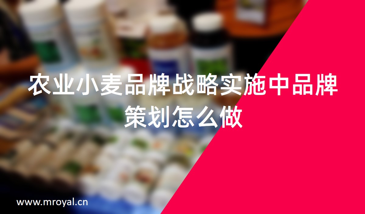 农业小麦品牌战略实施中品牌策划怎么做