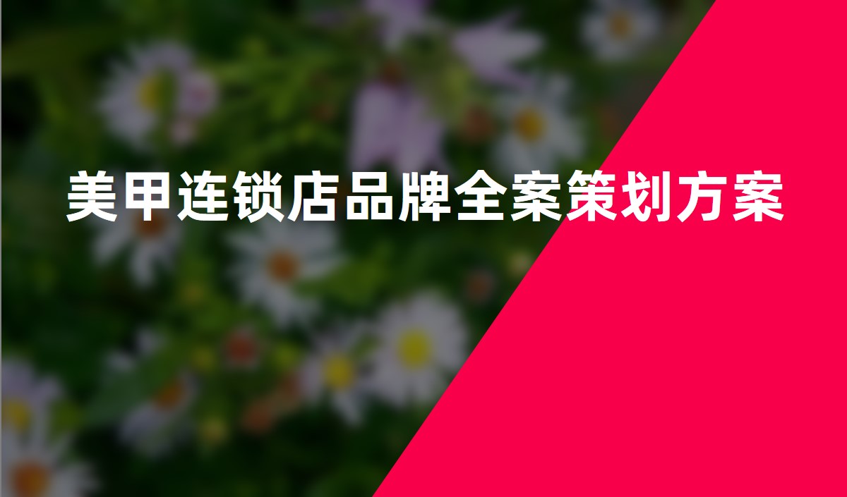 美甲连锁店品牌全案策划方案