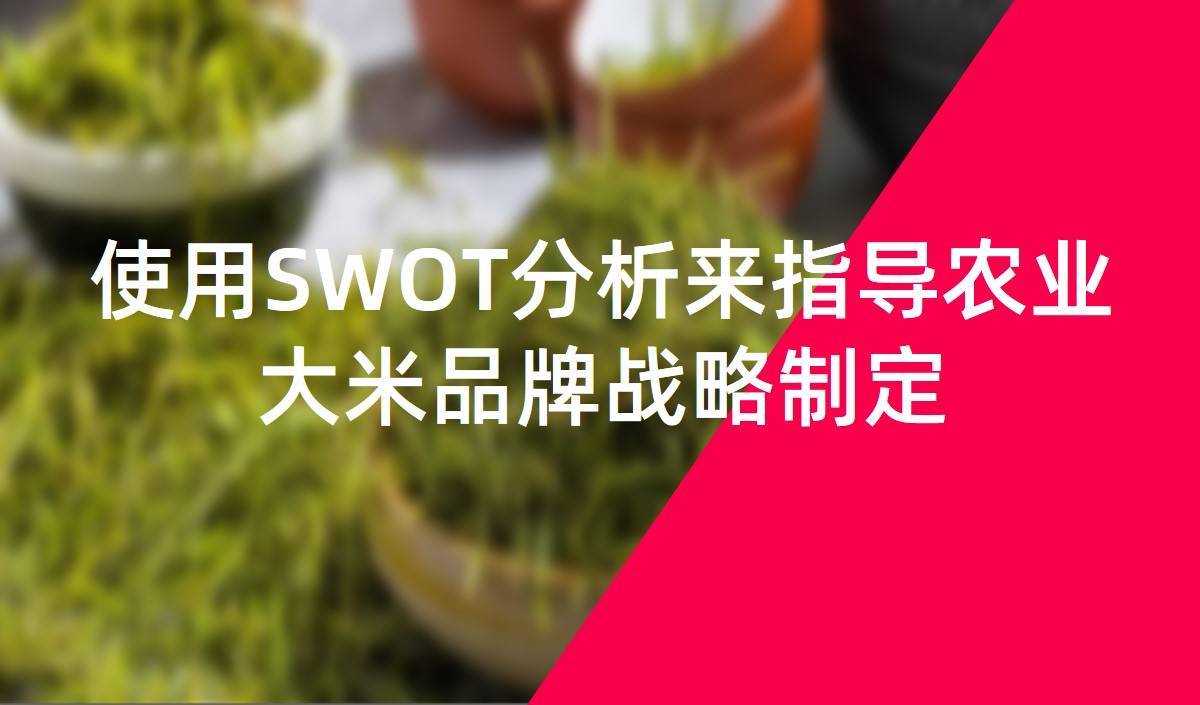 使用SWOT分析来指导农业大米品牌战略制定