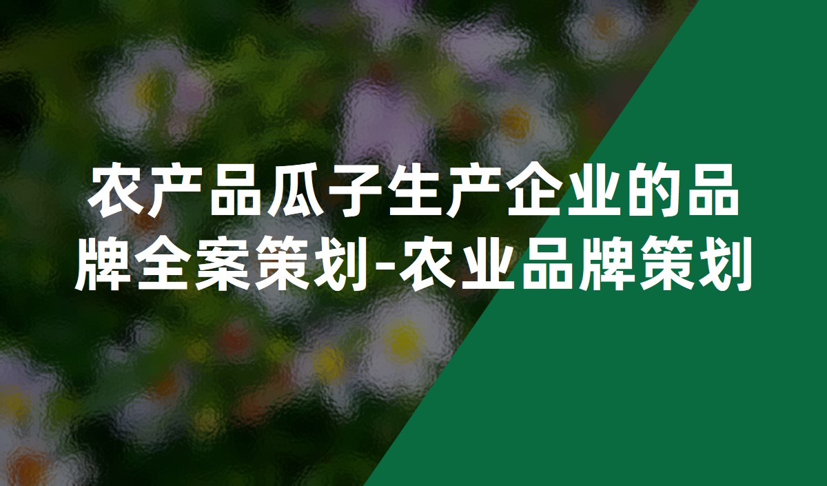 农产品瓜子生产企业的品牌全案策划-农业品牌策划