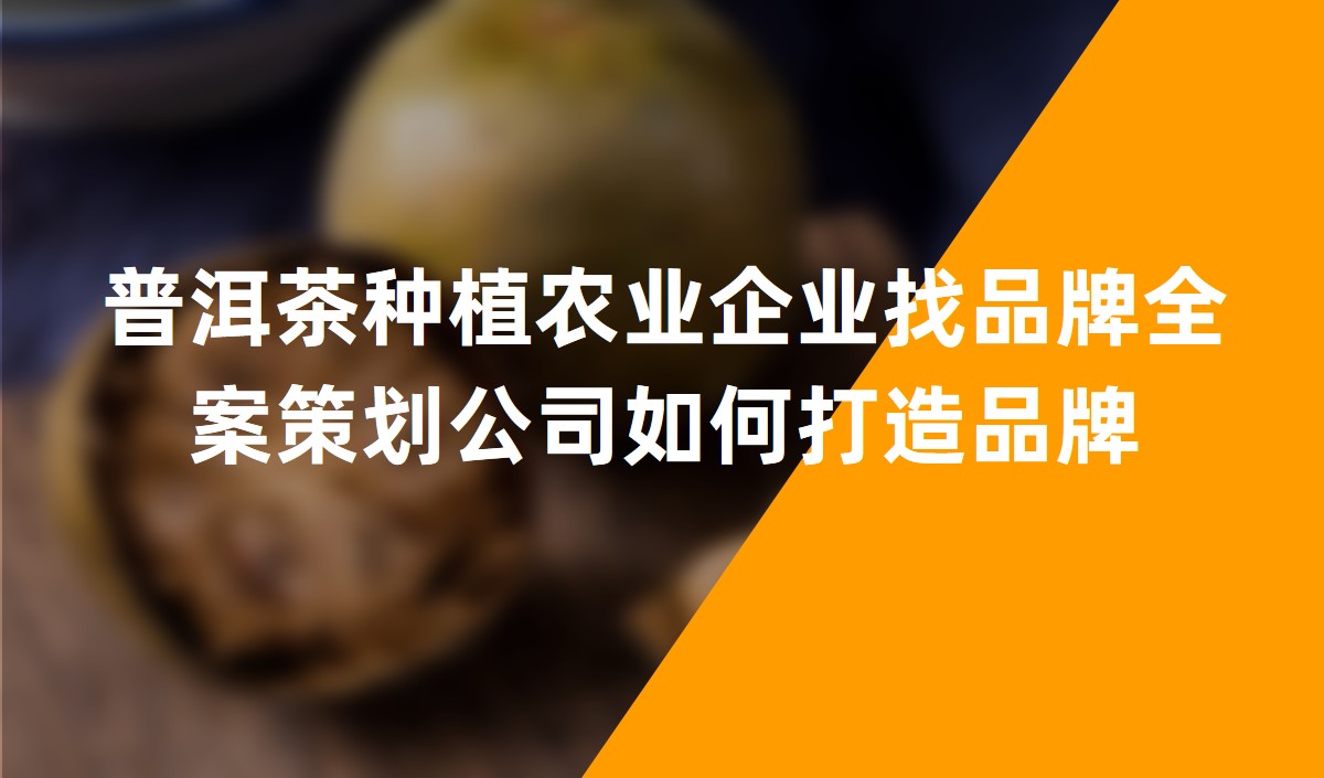 普洱茶种植农业企业找品牌全案策划公司如何打造品牌